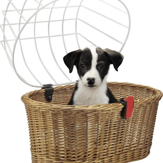 Klickfix Klick-fix Doggy Baskit 0399f Festmontage