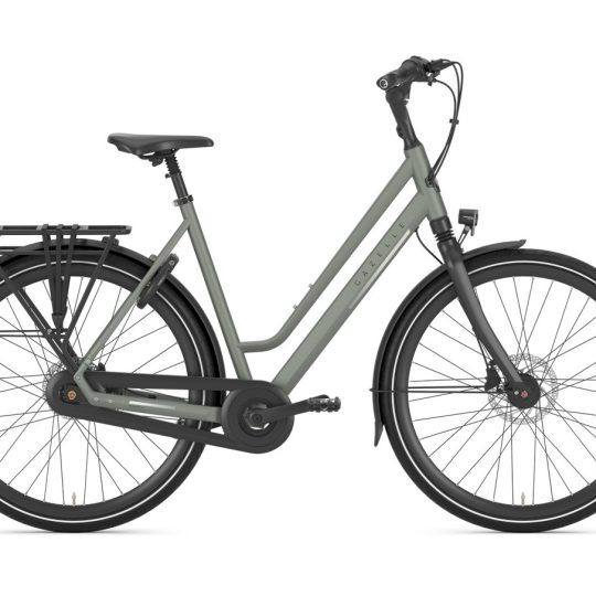 Gazelle Chamonix C8 L53 Clay Green T8 (mat)
