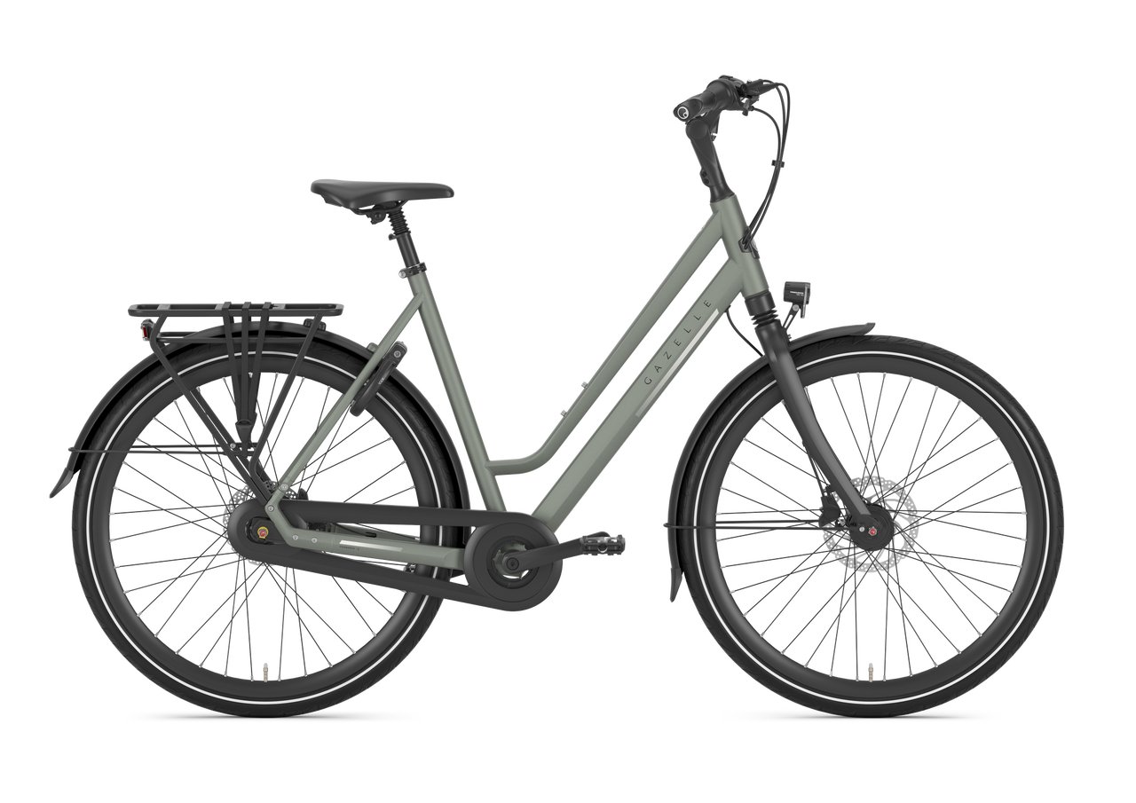 Gazelle Chamonix C8 L61 Clay Green T8 (mat)