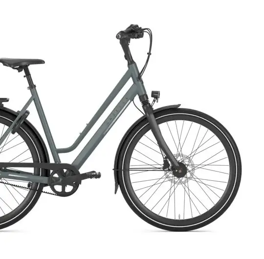 Gazelle Chamonix S8 L49 Petrol Blue (mat)