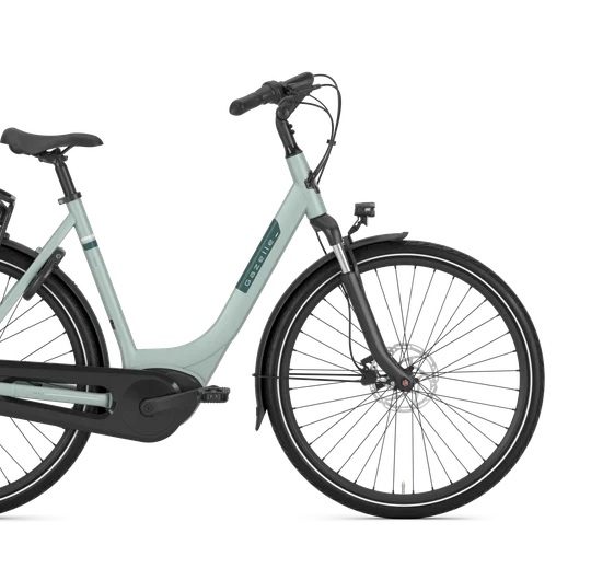 Gazelle Paris C7 Hmb Disc L53 Light Olive S7 (mat)